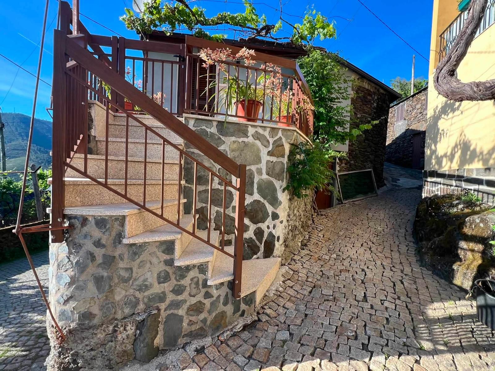 Casa Violeta