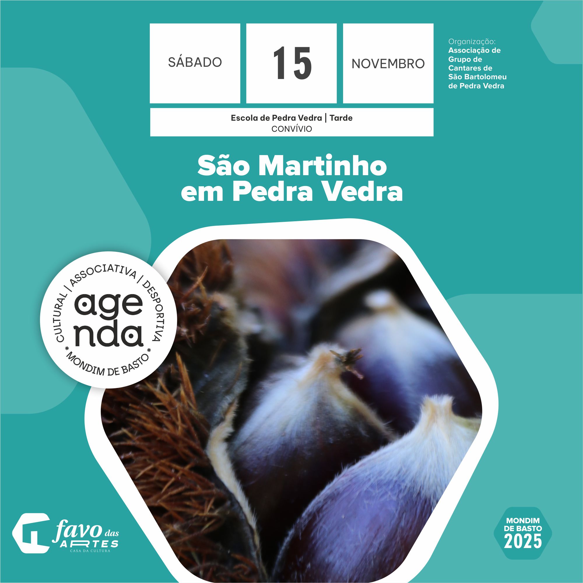 2025/11/15 | São Martinho