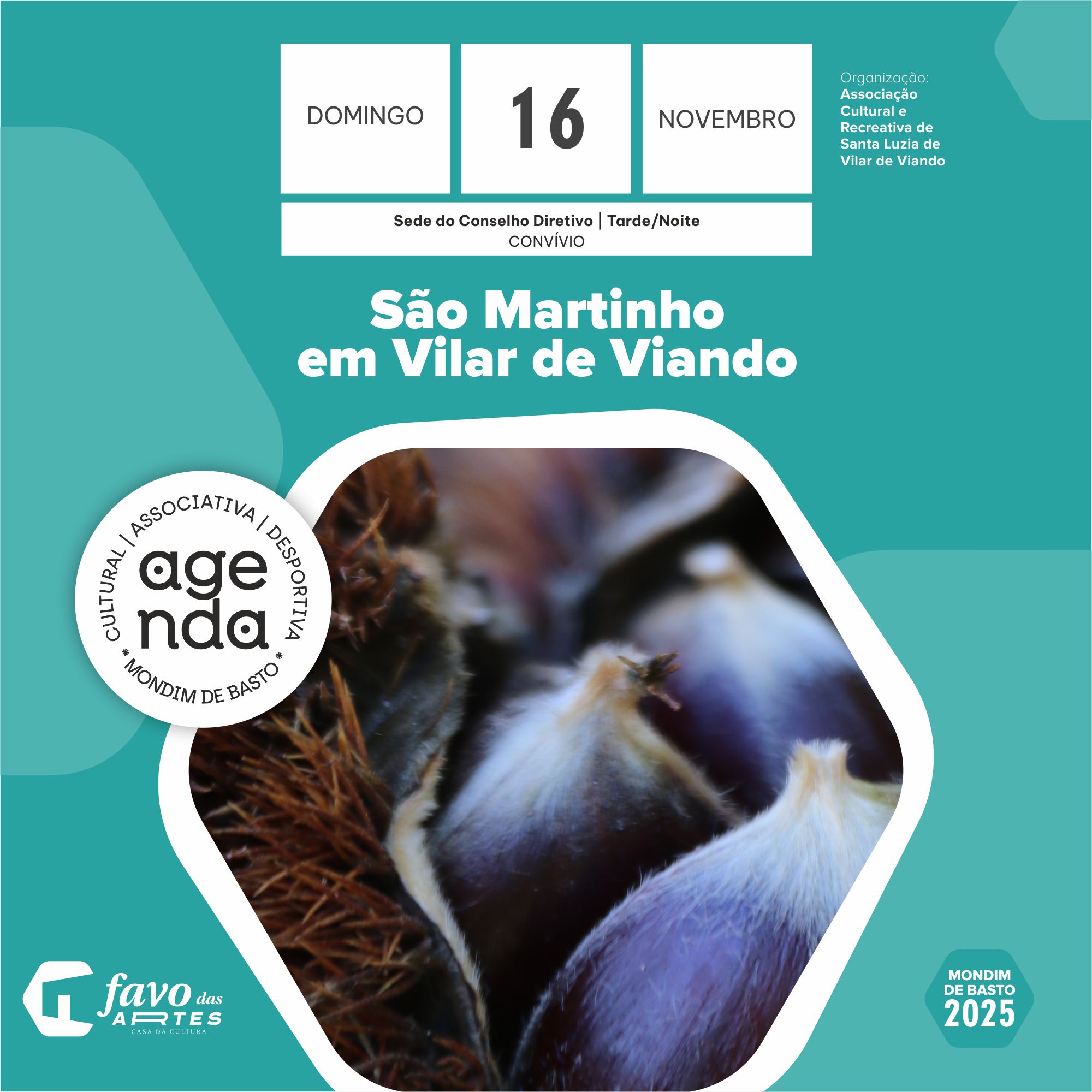 2025/11/16 | São Martinho
